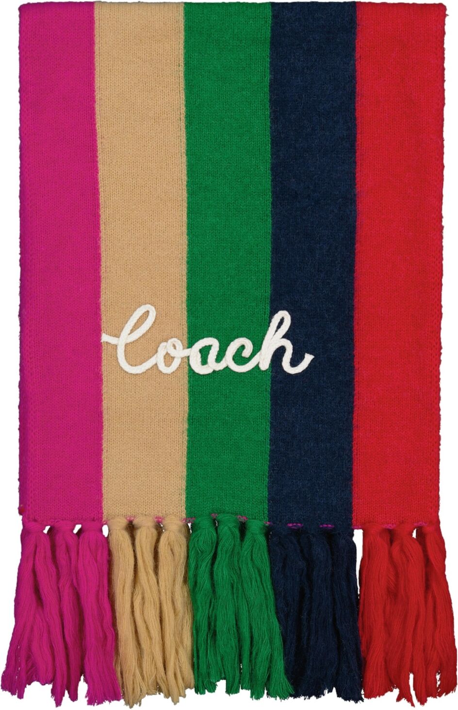 Coach Women's Multi Stripe Scarf - Multi