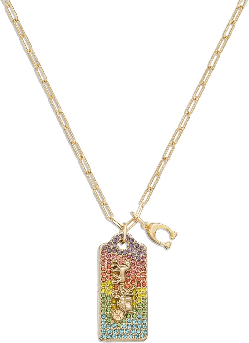 Coach Faux Stone Signature Pave Tag Pendant Necklace - Rainbow