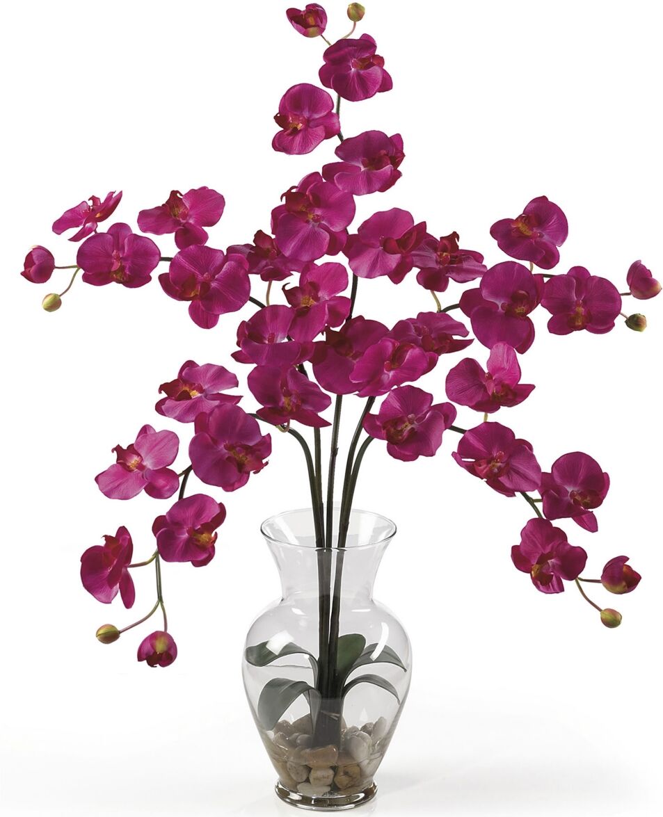 Nearly Natural Phalaenopsis Liquid Illusion Silk Flower Arrangement - Beauty