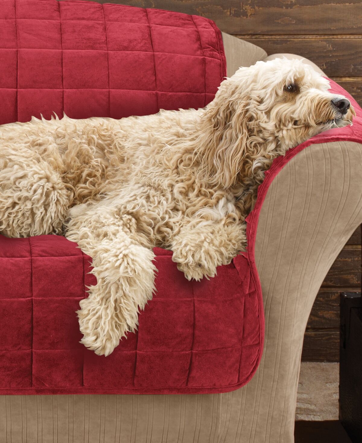 Macy's Sure Fit Velvet Deluxe Pet Sofa Slipcover with Sanitize Odor Release - Chocolate
