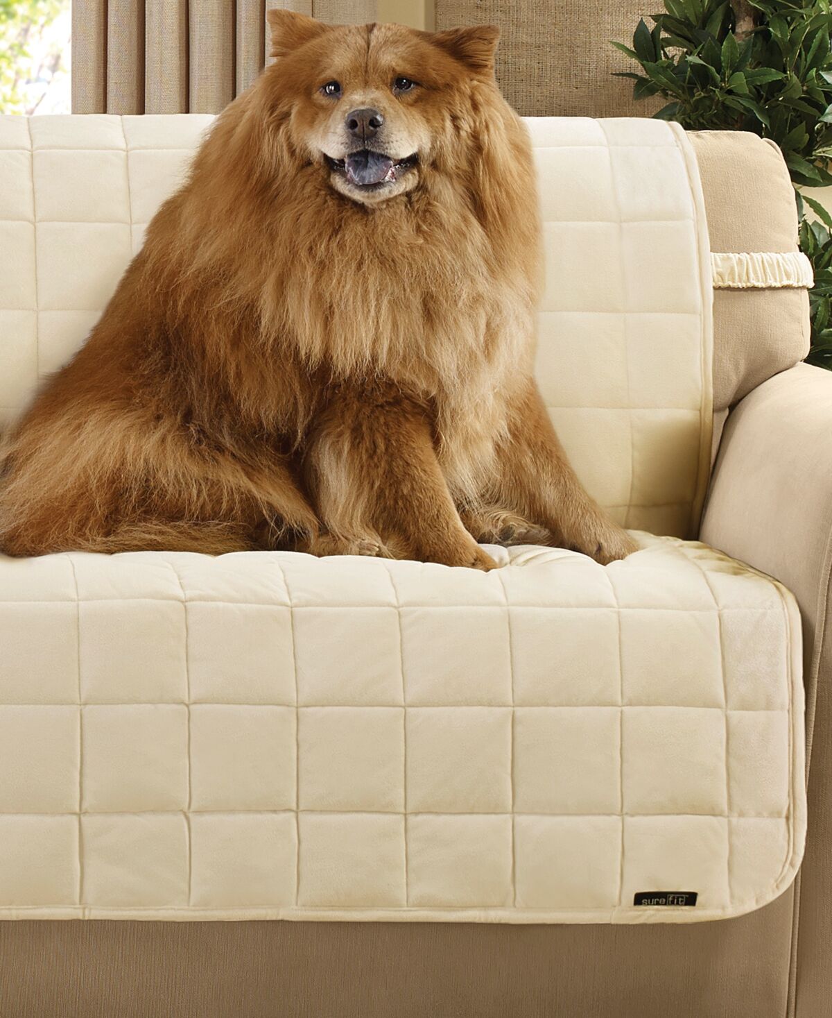 Macy's Sure Fit Velvet Deluxe Pet Armless Sofa Slipcover with Sanitize Odor Release - Ivory