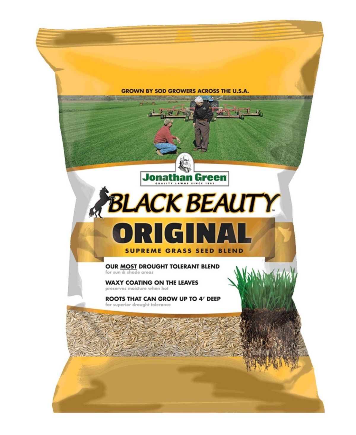 Jonathan Green (#10315) Black Beauty Original Grass Seed, 25 lb bag - Brown