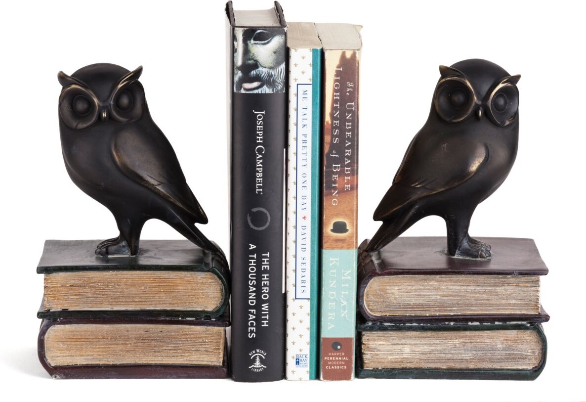 Danya B. Owl on Books Bookend Set - Brown