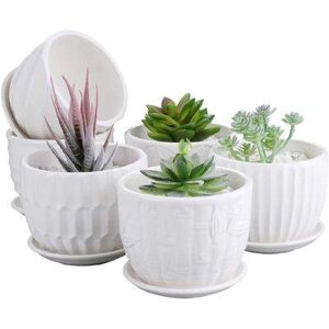 Corrigan Studio® Bashuk 6 Piece Ceramic Pot Planter Set Ceramic in White, Size 3.6 H x 4.2 W x 4.2 D in   Wayfair C4459BB0F22144CFB46F75F33FAAF831