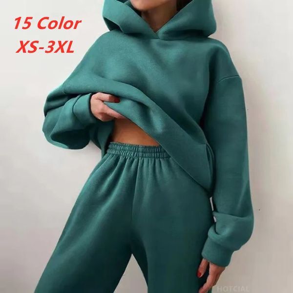 Women Tracksuit Hoodies Casual Solid Long Sleeve Fleece Warm Hooded Sportswear Suit Hoody Pullovers Pant Two Pieces Sets 240115