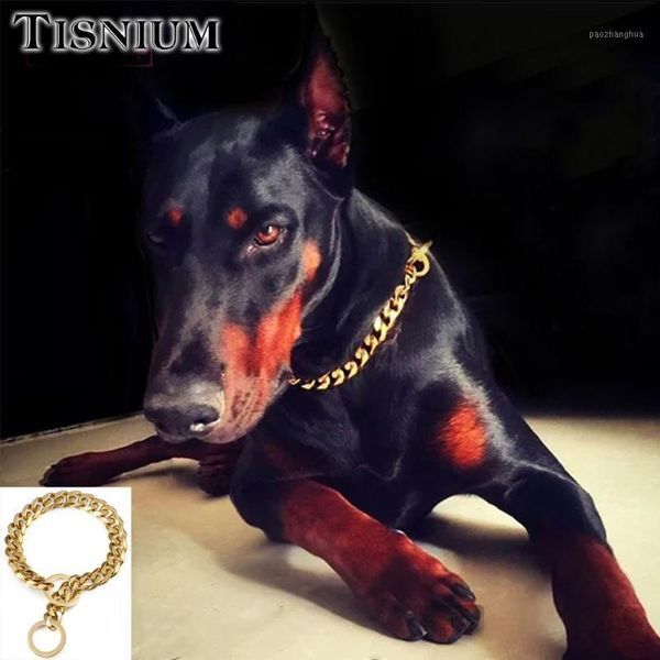 Tisnium 19mm Luxury Dog Leash Collar Choker Small Medium Large Chokers Gold Color Stainless Steel Pet Accessories Wholesale Chains