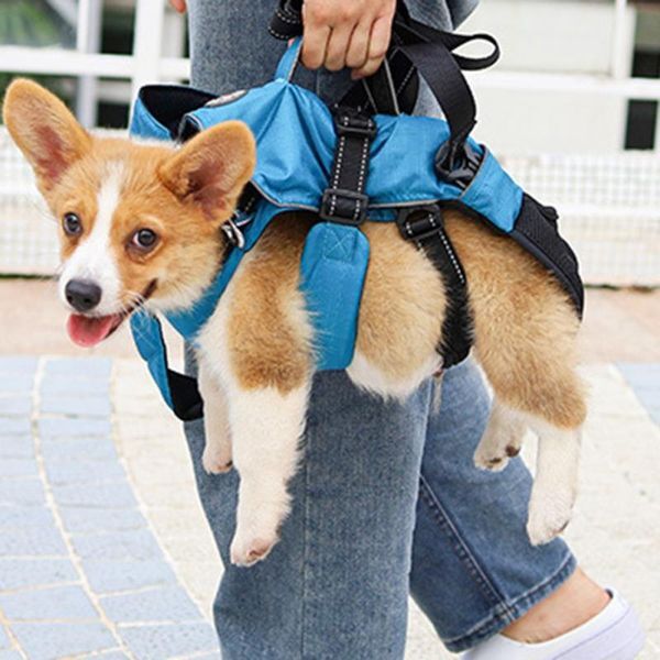 Dog Collars & Leashes Multifunctional Pet Cat Carrier Backpack Adjustable Breathable Shoulder Hand Bag Detachable Harness Supplies