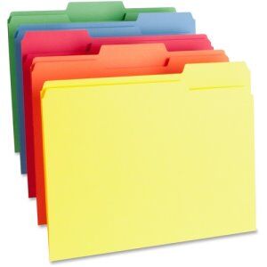 Business Source Color File Folder, 1-Ply, 1/3 Cut Tabs, 100/Box (Bsn65780)