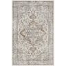 Nourison Astra Machine Washable 4' x 6' Grey/Multi Vintage Indoor Rug