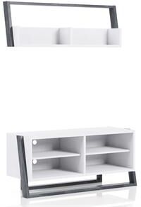 Furniture of America Kente Wood 2pc 49.5" Shelf and TV Stand Set in Gray