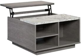 Sauder East Rock Engineered Wood Lift Top Coffee Table in Ashen Oak