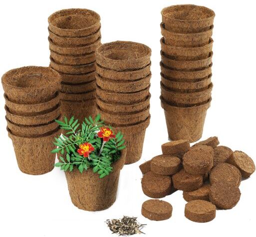 Wonder Soil Classroom Gardening Kit - 30 pots, wonder soil wafers with seeds by Really Good Stuff