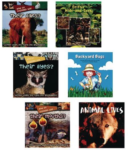 Animals Big Book Set of 6 by Frog Street Press