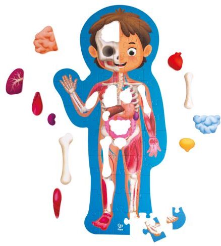 Human Body Puzzle - 60pcs in carry case by Hape