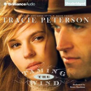 Brilliance Audio Taming the Wind