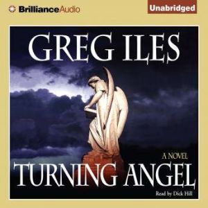 Brilliance Audio Turning Angel