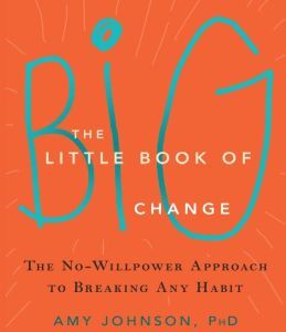 Findaway The Little Book of Big Change: The No-Willpower Approach to Breaking Any Habit