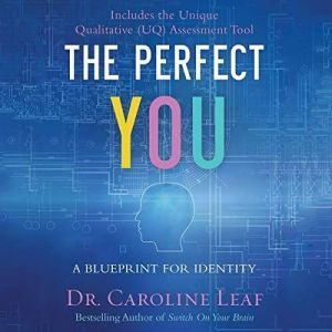 Brilliance Audio The Perfect You: A Blueprint for Identity