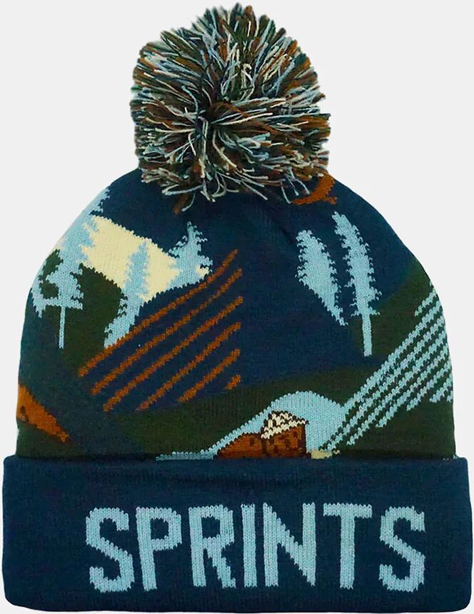 Sprints Winter Hat Hats & Headwear Bears