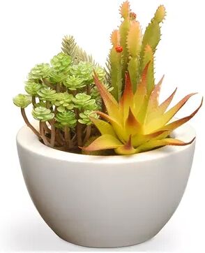 National Tree Company Bright Artificial Succulent Plant, Green