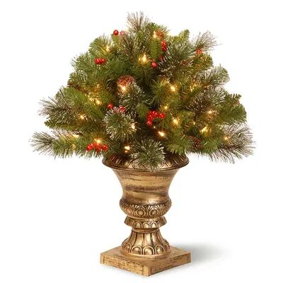 National Tree Company 24 in. Artificial Crestwood Spruce Bush Plant, Green