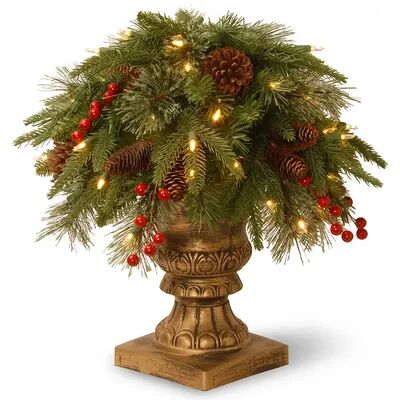 National Tree Company 24-in. Pre-Lit Artificial Pine Colonial Bush Plant, Green