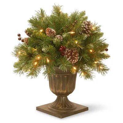 National Tree Company 18-in. Pre-Lit Artificial Pine & Berry Bush Plant, Green