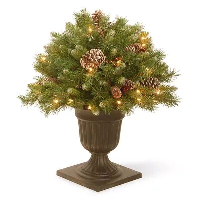 National Tree Company 24-in. Pre-Lit Frosted Artificial Pine Bush Plant, Green