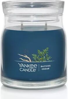 Yankee Candle Bayside Cedar 13-oz. Signature Medium Candle Jar, Multicolor