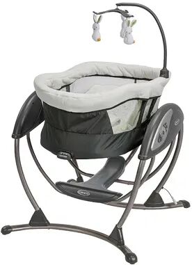 Graco DuoGlider Swing Seat and Rocker, Rascal