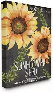 Stupell Home Decor Floral Sunflower Seed Wall Art, Multicolor, 24X30