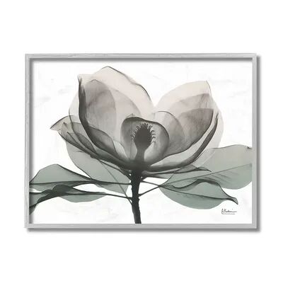 Stupell Home Decor White Magnolia Flower Silhouette Framed Wall Art, 16X20