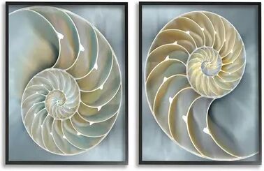 Stupell Home Decor Intricate Nautilus Interior Framed Wall Art 2-piece Set, Blue, 16X20