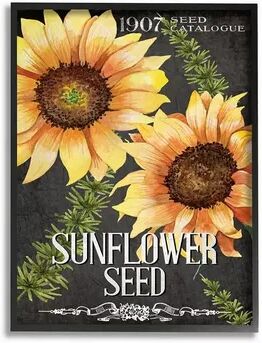 Stupell Home Decor Floral Sunflower Seed Vintage Catalog Design Wall Art, Multicolor, 16X20