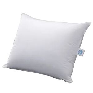 Allied Home 550 Fill Power Deluxe White Down Pillow, Queen
