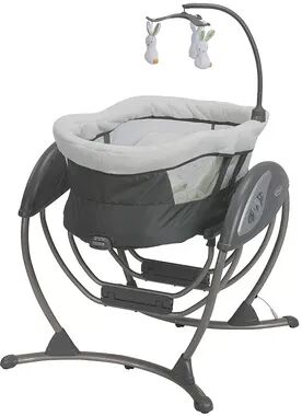 Graco DuoGlider Swing Seat and Rocker, Rascal