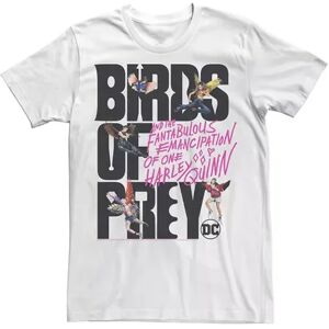 Licensed Character Men's Harley Quinn: Birds of Prey Girls With Wings Logo Tee, Size: 3XL, White