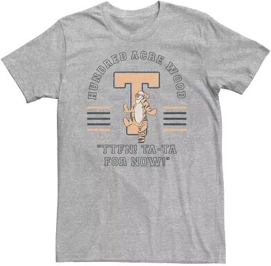 Disney Big & Tall Disney Winnie The Pooh Tigger Ta-Ta For Now Tee, Men's, Size: 4XL Tall, Med Grey