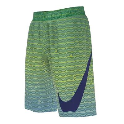 Nike Boys 6-20 Nike Shark Stripe Breaker Volley Shorts, Boy's, Size: Small, Turquoise/Blue