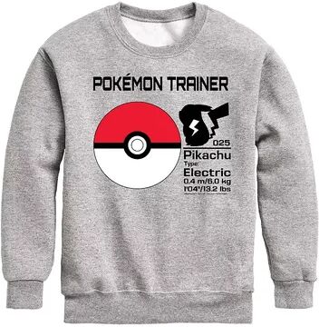 Licensed Character Boys 8-20 Pokemon Pokeball Trainer Fleece, Boy's, Size: Large, Med Grey