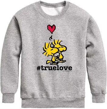 Licensed Character Boys 8-20 Peanuts TrueLove Woodstock Fleece Sweatshirt, Boy's, Size: Medium, Med Grey