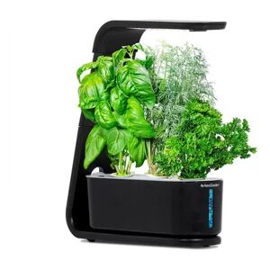 AeroGarden Sprout Countertop Garden Kit with Gourmet Herbs Seed Pods, Black