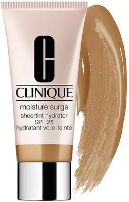 Clinique Moisture Surge Sheertint Hydrator Broad Spectrum SPF 25 Tinted Moisturizer, Size: 1.4 FL Oz, Multicolor