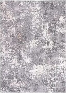 Safavieh Aston Lisa Rug, Light Grey, 8X10 Ft