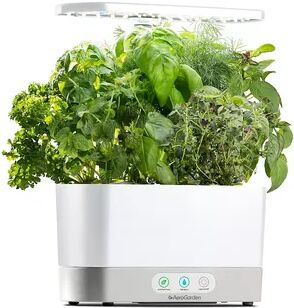 AeroGarden Harvest with Gourmet Herb Seed Pod Kit, White