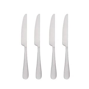 Food Network 4 pc. Classic Silver Dinner Knife Set, 6 PC