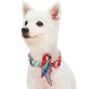 Blueberry Pet Fun Parrot Dog Collar, Medium