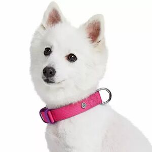 Blueberry Pet Iconic Color-Block Dog Collar, Purple, Medium