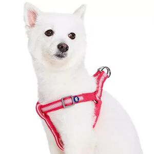 Blueberry Pet Blue Dog Harness, Pink, Large