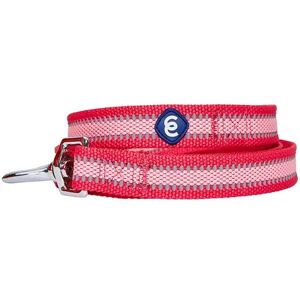 Blueberry Pet Blue Dog Leash, Pink, Small